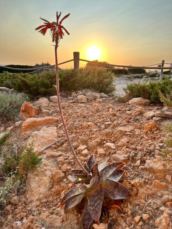 Arenas Del Mar Formentera Villa Es Arenals Exterior foto
